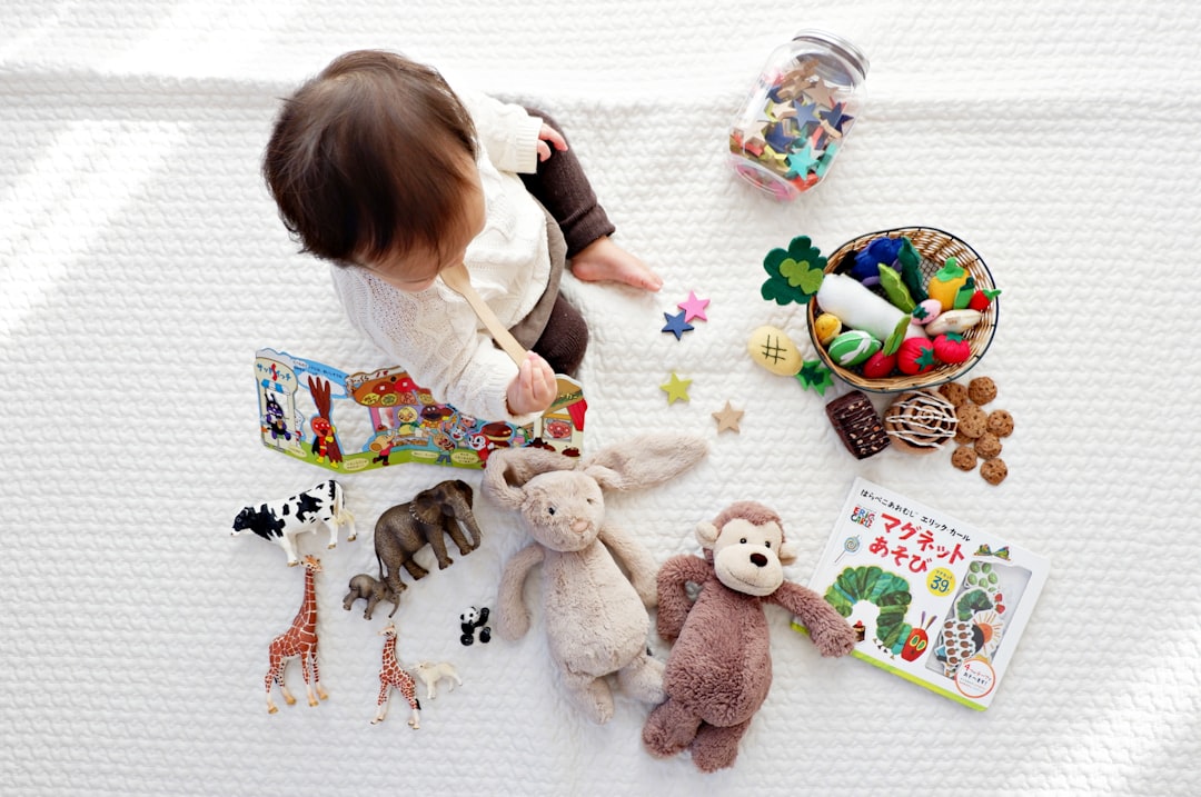 Toy