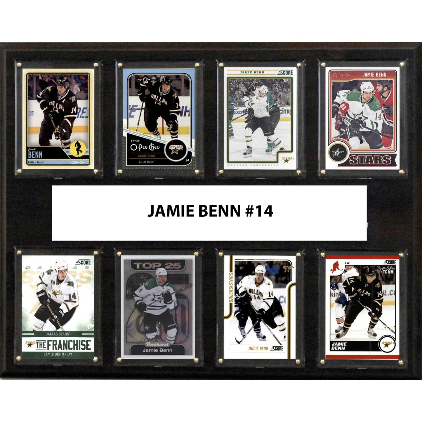 Nhl 12X15 Jamie Benn Minnesota Wild 8-Card Plaque