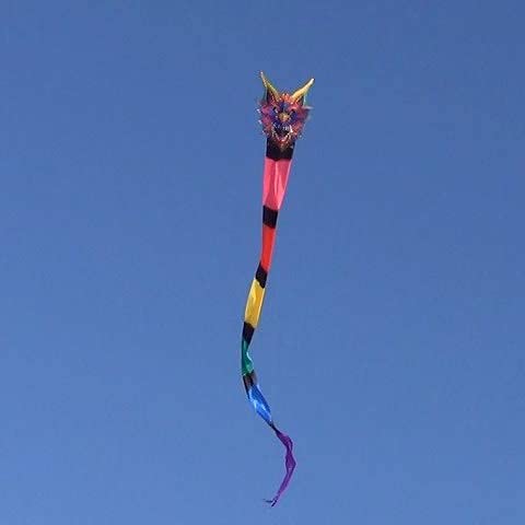 Windnsun Super Size 2D Nylon Kite, Long Tail Serpent, 305 Inches Long
