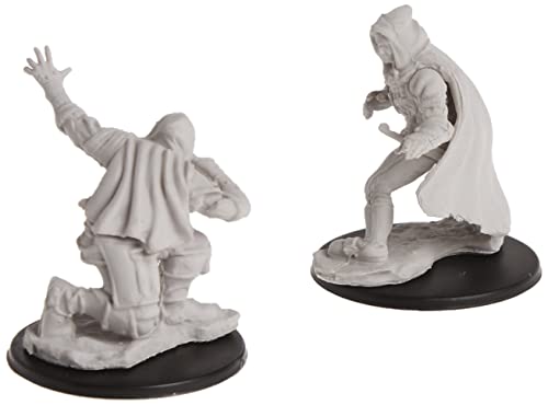 Neca Pathfinder Deep Cuts Unpainted Miniatures: Wave 1: Human Male Rogue