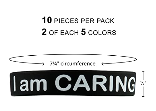 Teacher Created Resources Character Traits Wristbands (6569)