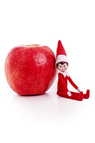 World'S Smallest The Elf On The Shelf A Christmas Tradition - Boy Scout Elf With Blue Eyes, 4 Inch