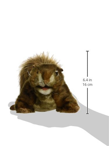 Folkmanis Red Squirrel Hand Puppet, 1 Ea