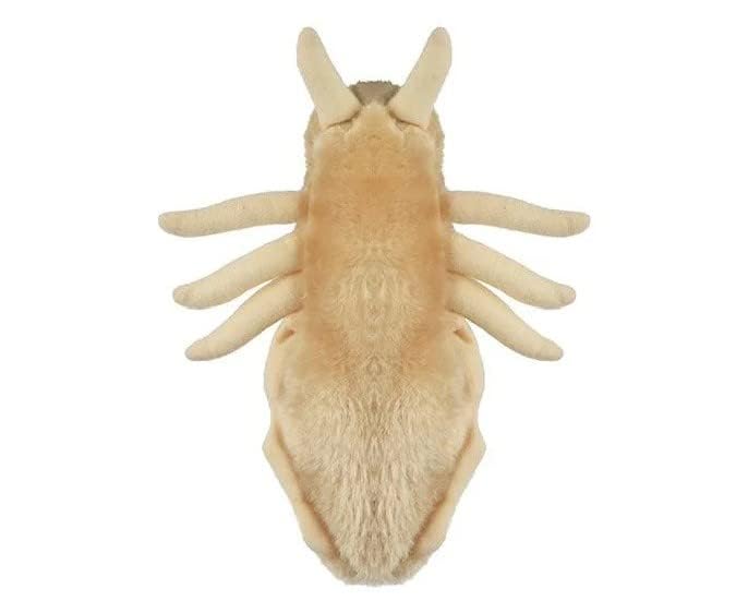 GIANT MICROBES Louse Plush Toy - 7" Tan Educational Gift for Lice Awareness, Ideal for Families and Insect Lovers
