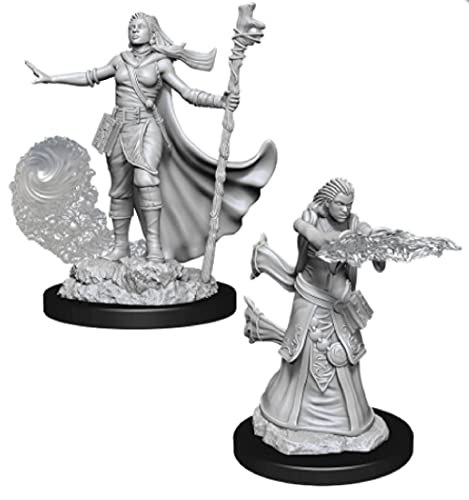 D&D Nolzur'S Marvelous Miniatures - Female Human Druid