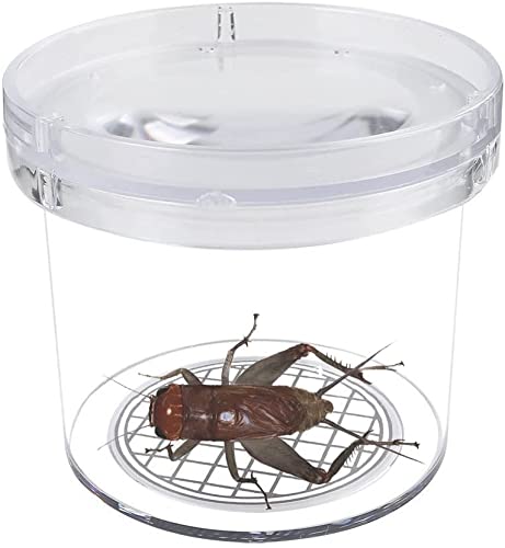 Simpless 8 Pieces Bug Viewer Critter Insect Cage Magnifying Insect Box Bug Magnifier Container Bug Catcher Cage, Science Nature
