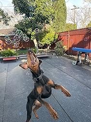 Dog Bubbles - Bubbletastic Bacon Scented Bubbles - 2 Pack - Includes Wands! 16Oz Total!