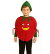 Fancydresswale Pomegranate Fancy Dress Costume For Kids | Free Size 2-10 Years | Stage Shows, Fancy Dress Competitions, Theme Pa