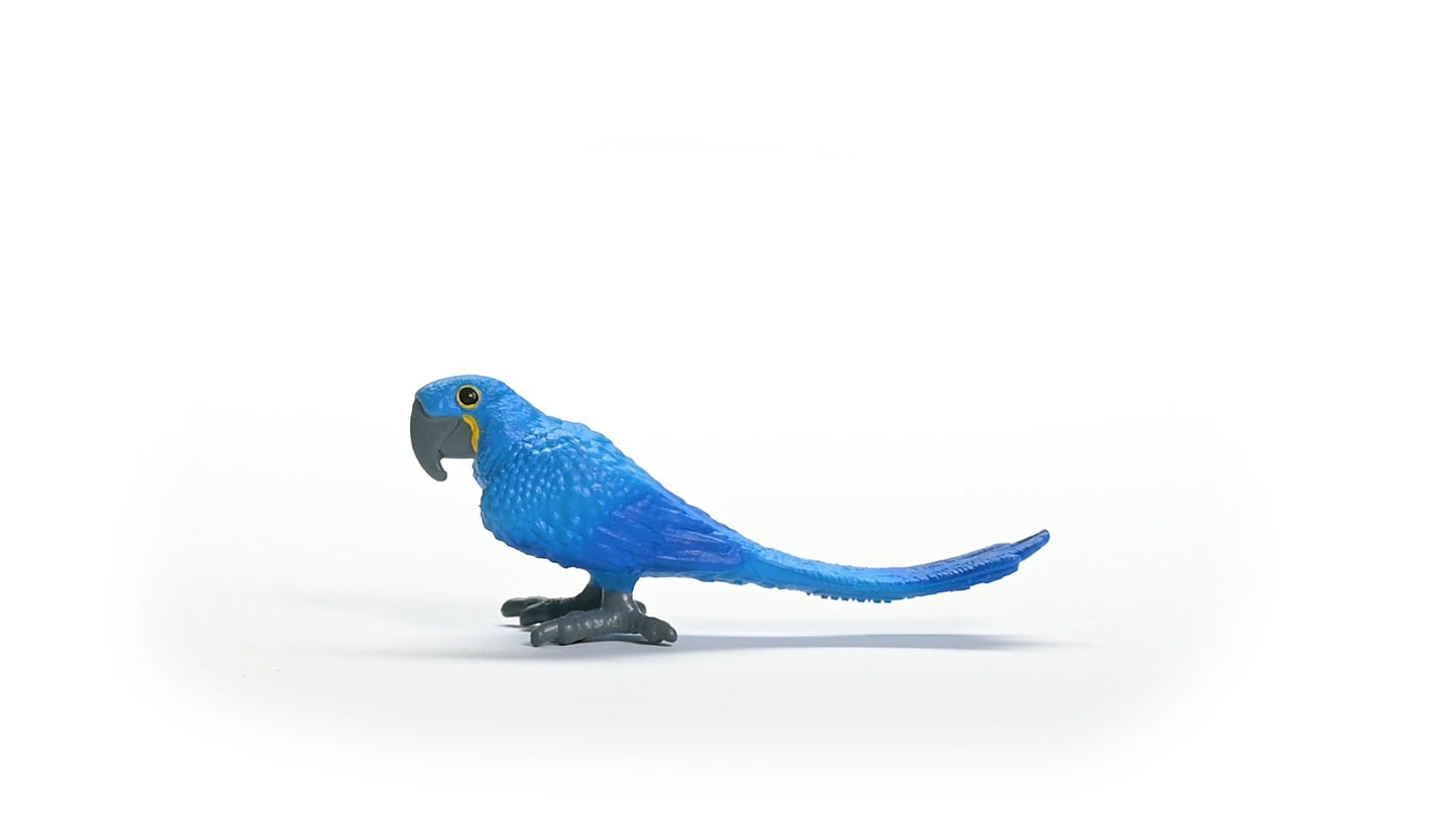 Schleich Wild Life New 2024 Wild Animal Toy Hyazinth Macaw Bird Figurine