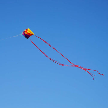 Besra Rainbow Parafoil Kite With 5M Long Tails Single Line Parachute Kite Easy To Fly Outdoor Fun Sports(34Inch)