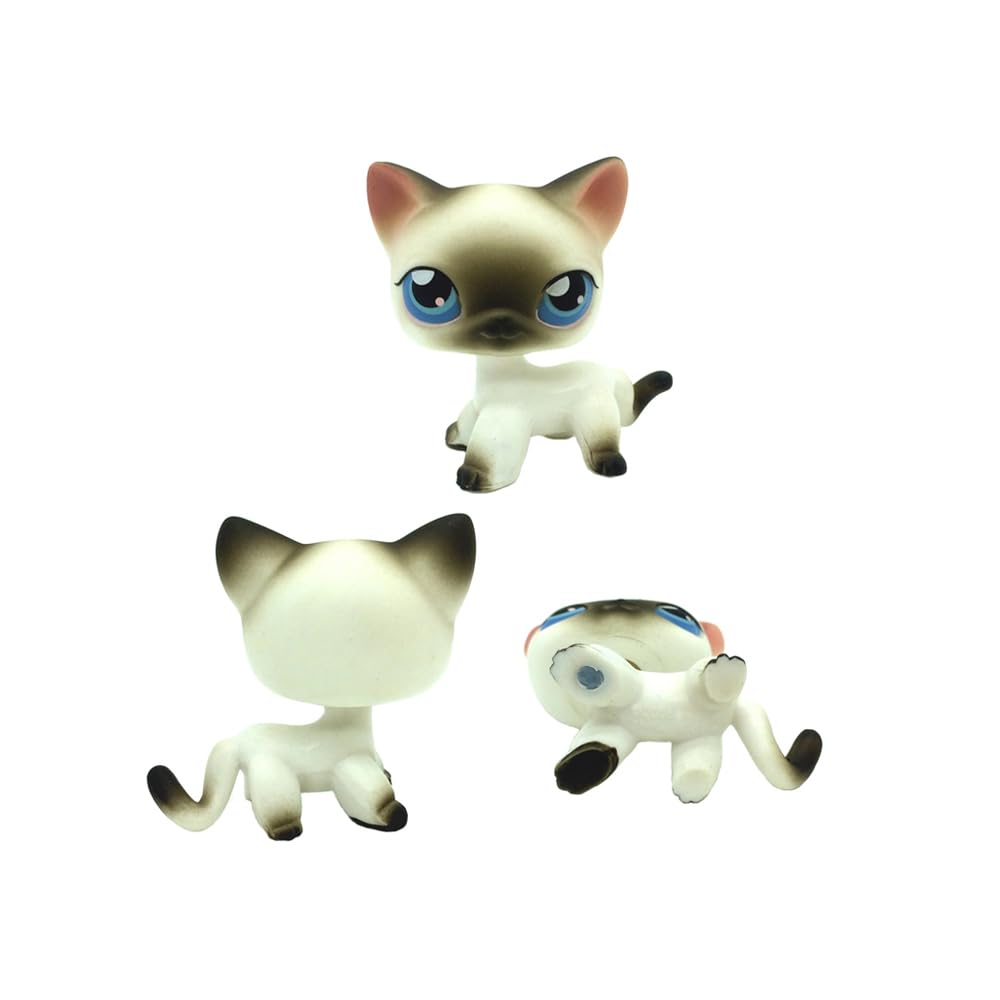 5Pcs Mini Pet Kitty Cat #5#525#228#1024#1170 Rare Short Hair Cat Action Figures Kids Boy Girl Toys