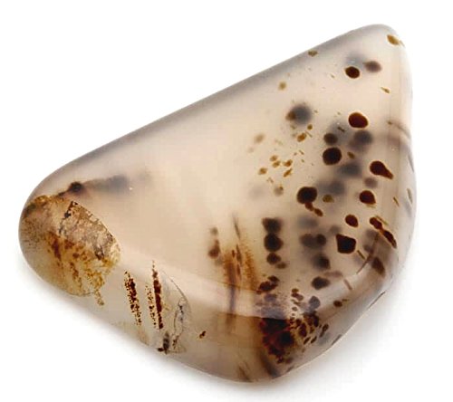 Rock Tumbler Gem Refill Kit Yellowstone Montana Black Dendrite Agate Rough 8 oz