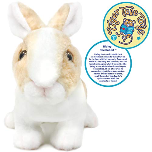 Tigerhart Ridley The Rabbit - 11 Inch Realistic Stuffed Animal Plush Bunny