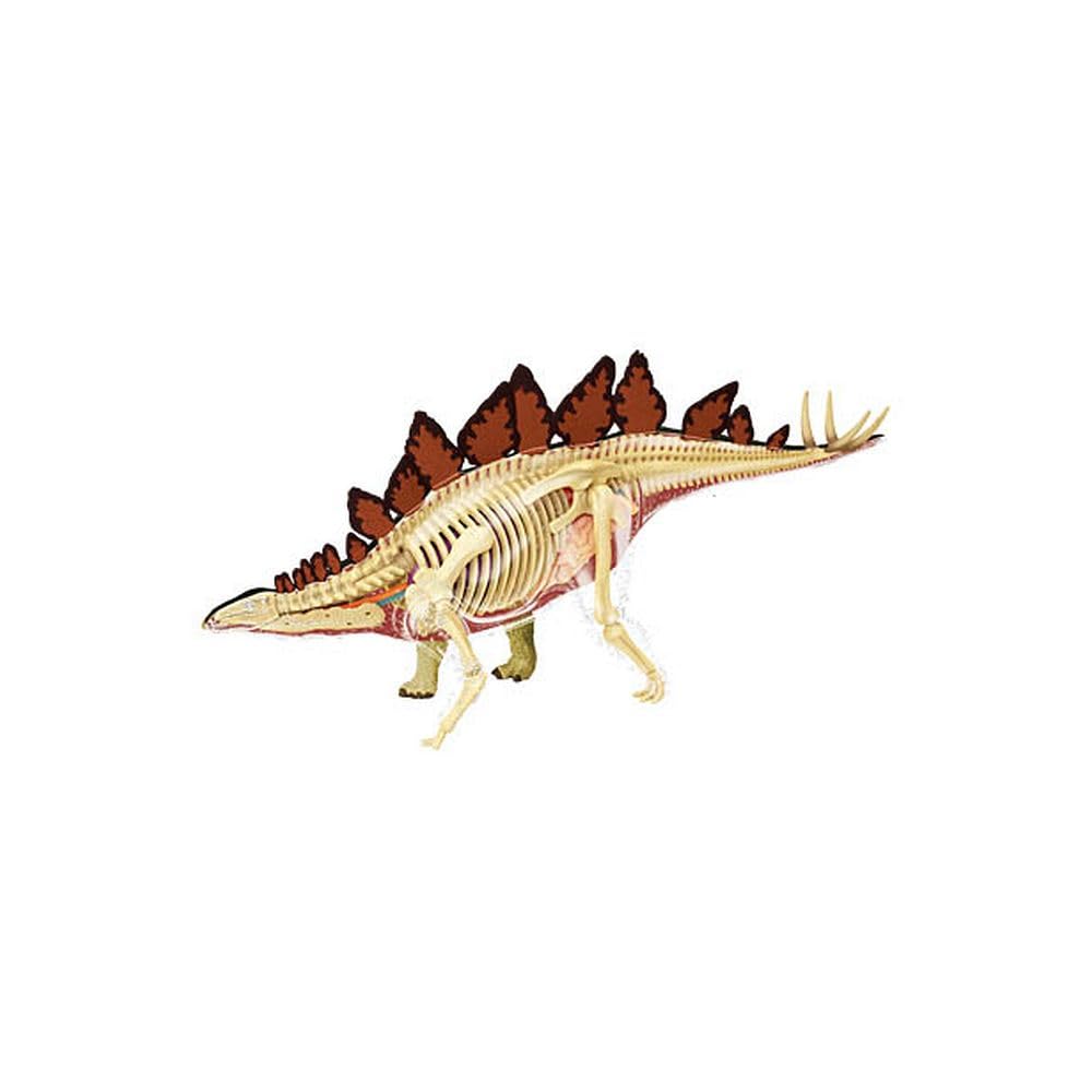 Famemaster 4D Vision Stegosaurus Anatomy Model