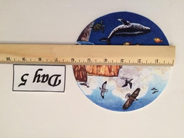 6'' Creation Circles Felt Figures for Flannel Board Bible Stories-precut