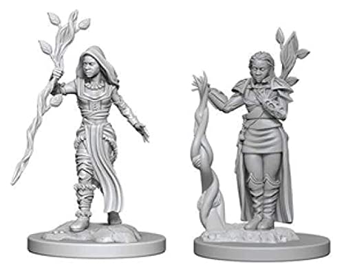 D&D Nolzur'S Marvelous Miniatures - Female Human Druid