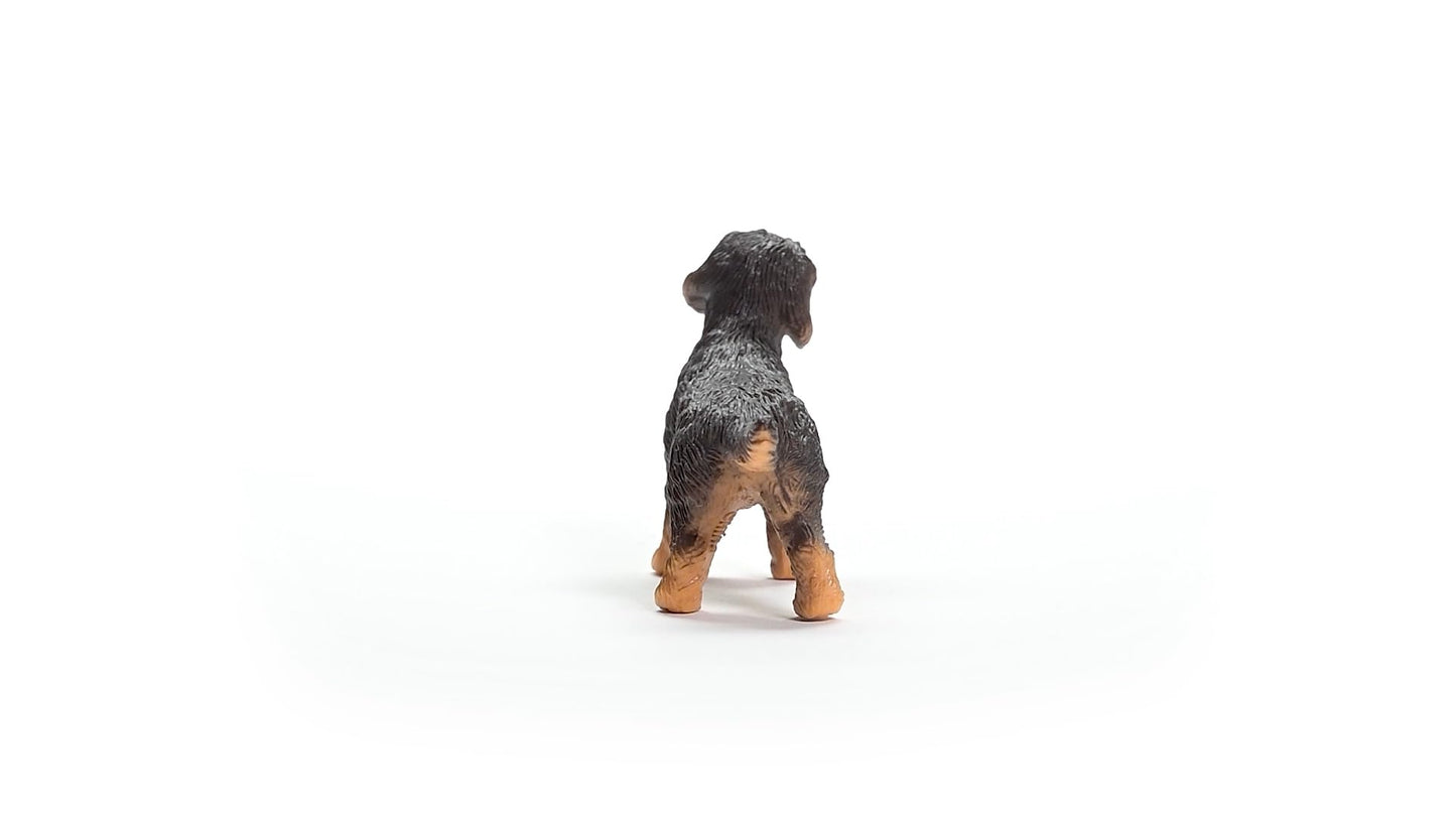 Schleich Farm World New 2024 Farm Animal Toy Wire Haired Dachshund Dog Toy Figurine