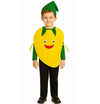 Fancydresswale Mango Fancy Dress Costume For Kids | Free Size 2-10 Years | School Events, Fancy Dress Competitions, Theme Partie