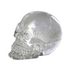 Pacific Giftware 12 Clear Crystal Like Mini Skulls Figurines Busts.Cute! 1 Dozen! Halloween Decor Collectible Figurine.
