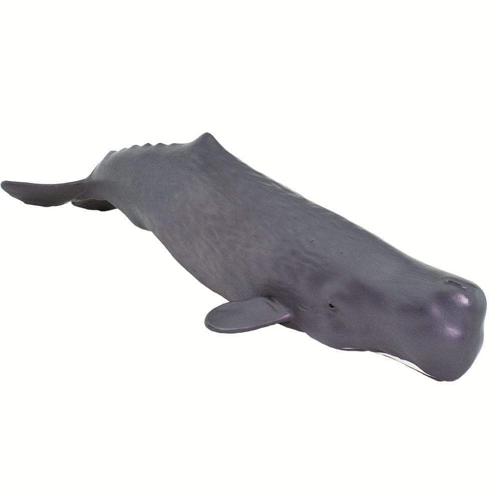 Safari Ltd. Sperm Whale Figurine - 9" Lifelike PVC Ocean Animal Toy for Kids - Multicoloured