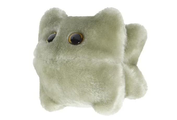 Giantmicrobes Norovirus Plush - Learn About Biology, Microbes And Health With This Fun Educational Gift For Friends, Family, Doc