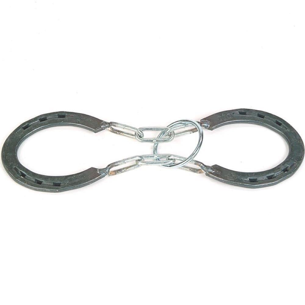 Puzzle: Dry Gulch Horseshoe