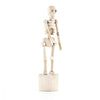 Kikkerland Skeleton Lazy Bones Sculpture, Tan