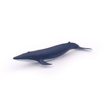 Papo - Hand-Painted - Figurine - Marine Life - Blue Whale Calf-56041 - Collectible - For Children - Suitable For Boys And Girls - From 3 Years Old