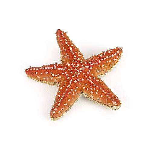 Papo Marine Life Starfish Figurine, Hand-Painted Collectible, PVC, Multi-Color, Model 56050, Suitable for Ages 3+