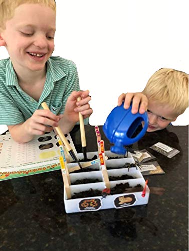 The Young Scientists Club Nature Series: Science On A Garden Adventure