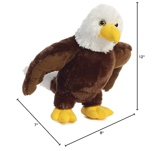 Aurora - Destination - 12' Eagle