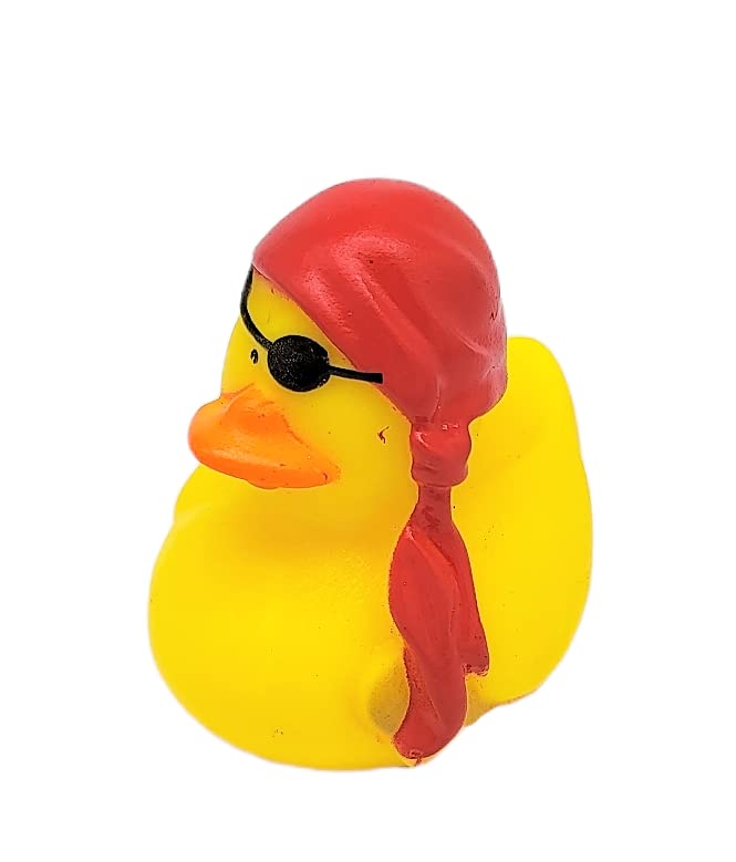 Cool Rubber Ducks (2') Standard Size. (12 Pack) Cute Duck Bath Tub Pool Toys. (Pirate Rubber Duckies)
