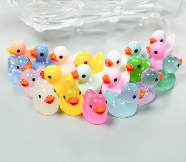 100pcs Mini Resin Duck,15 mm Dollhouse D cor Glow in The Dark for Aquarium Decor Micro Fairy Garden Landscape Hide,Seek Party T