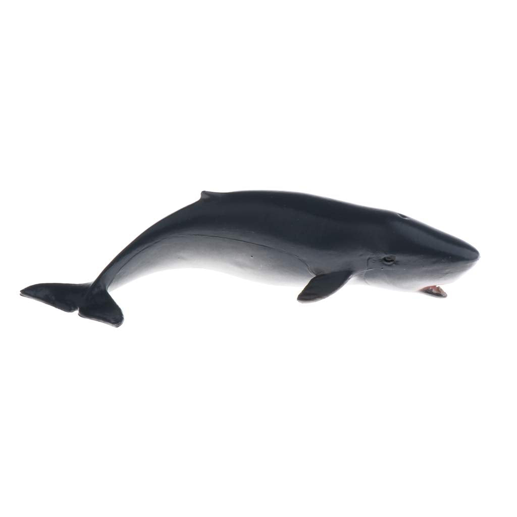 Bnf Pp Animal Pool Toy Sea Ocean Animal Realistic Deep Sea Animal Figure 09 Baby | Toys For Baby | Developmental Baby Toys