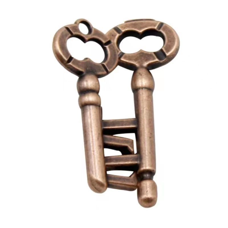 GINFH Brain Teaser 3D Unlock Interlocking Metal Hole Lock Puzzle - mature-themed Educational IQ Toy (Gold Silver Key)