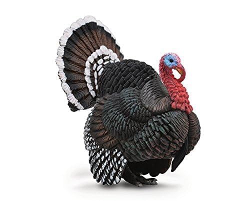 CollectA Turkey Animal Toy - Vinyl, Model 88762, Realistic Play Figure