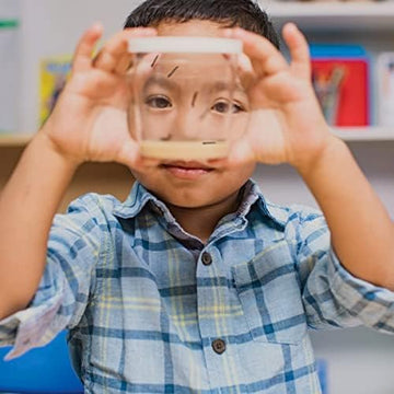 Insect Lore Butterfly Garden Experience | No Fee Prepaid Voucher | Redeem Raise And Release 5 Baby Painted Lady Caterpillars | O