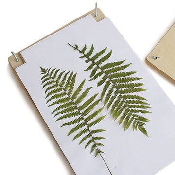 Bestnest Nature Press, 12'' X 18''