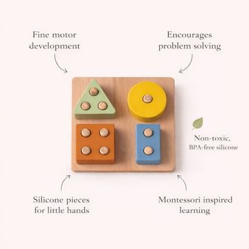 Montessori Shape Puzzle Toy | LYTL®️
