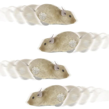 The Dreidel Company Wind-Up Mouse Racing Rat Plush Mice Cat Chaser, Realistic Looking Pet With Twirling Tail (8-Pack)