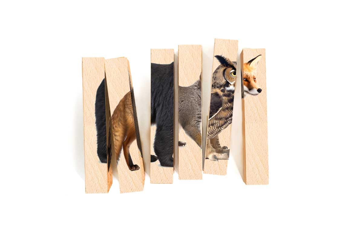 Wooden Animal Chunky Puzzles For Toddlers 2+ Years - Montessori 4 In 1 Woodland Creature Block Puzzle Toy