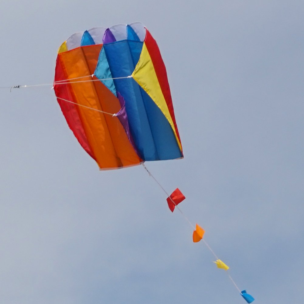 Besra Colorful Parafoil Kite With Long Tail Easy To Fly Outdoor Fun Sports For Kids & Adults(20Inch)