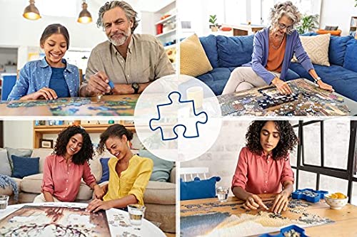 Ravensburger - Adult Jigsaw Puzzle - 500 Piece Round Jigsaw Puzzle - Desserts (Circle Of Colors) - Adults And Children From 12 Years Old - Premium Jigsaw Puzzle - 17171