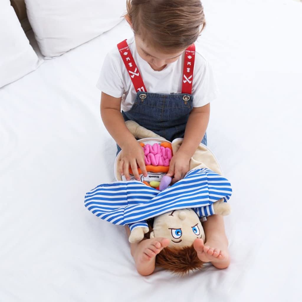 Kakiblin Anatomy Toys For Kids, Body Organs, Human Body Model For Kids, Preschool Educational Organ Plush,Science Learning Kits,