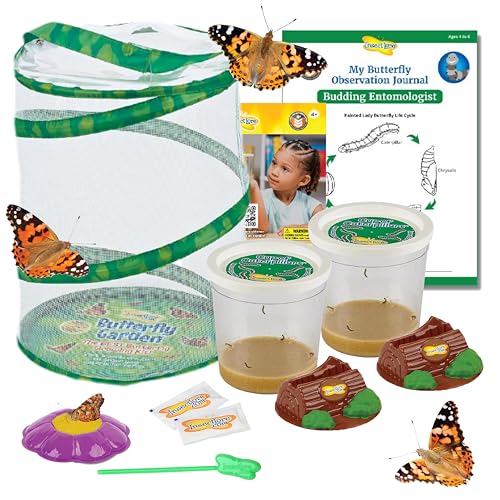 Insect Lore Butterfly Garden | Original 12' Habitat And Two Cups Of Live Baby Caterpillars | Life Science & Stem Education Kit