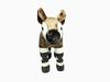Tammyflyfly Okapi Plush, Stuffed Animal, Plush Toy, Gifts For Kids, Cuddlekins 12 Inches