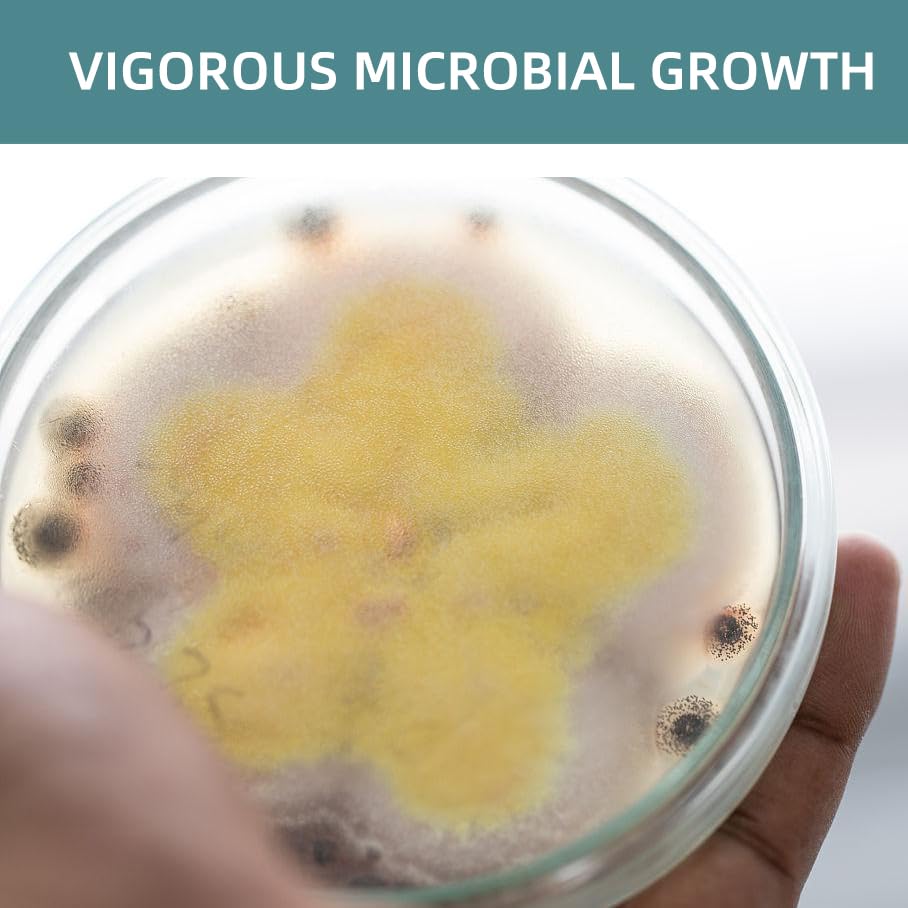 142 Grams Nutrient Agar Powder, Makes Over 210 To 280 Agar Petri Dishes, Easy To Use, Suitable For Scientific Research, Educatio