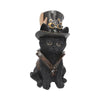 Nemesis Now Cogsmith'S Steampunk Cat Adorable Black Cat With Leather Top Hat And Waistcoat, Hand-Painted Resin Figurine, Perfect For Steampunk Collectors, 18.5Cm