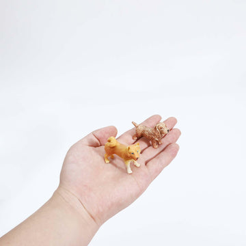 Onest 20 Pieces Mini Dog Figurines Playset Hand Painted Tiny Dogs Realistic Detailed Plastic Puppy Figures Toys Small Dog Figurines For Kids Adults