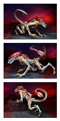 Aliens - 7' Scale Action Figure - Ultimate Kenner Tribute Panther Alien